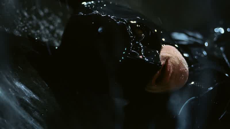 I will show you where I have made my home......whilst preparing to bring justice