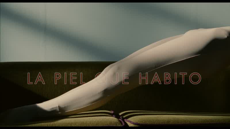 LA PIEL EN QUE HABITO
