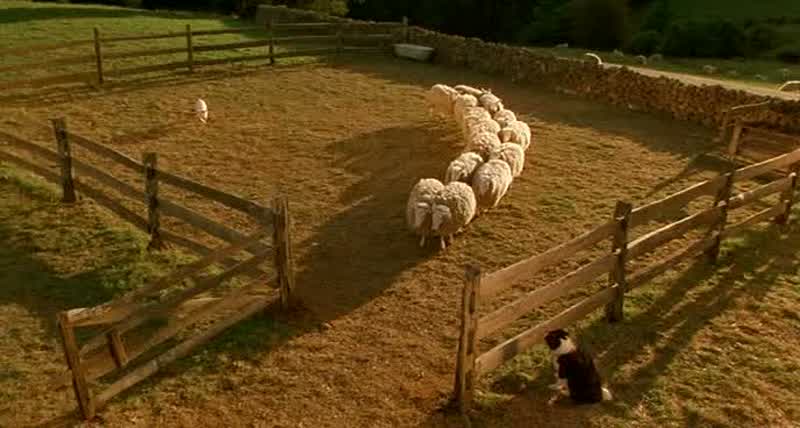 �- La trama, ladre, trama!
