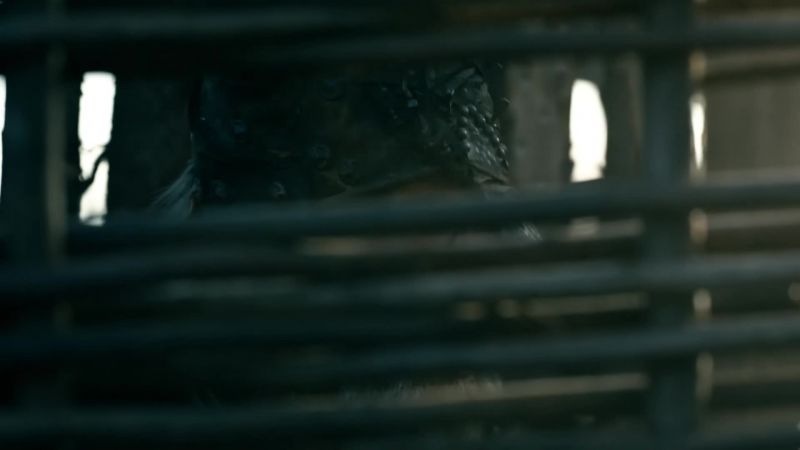 Lagertha!