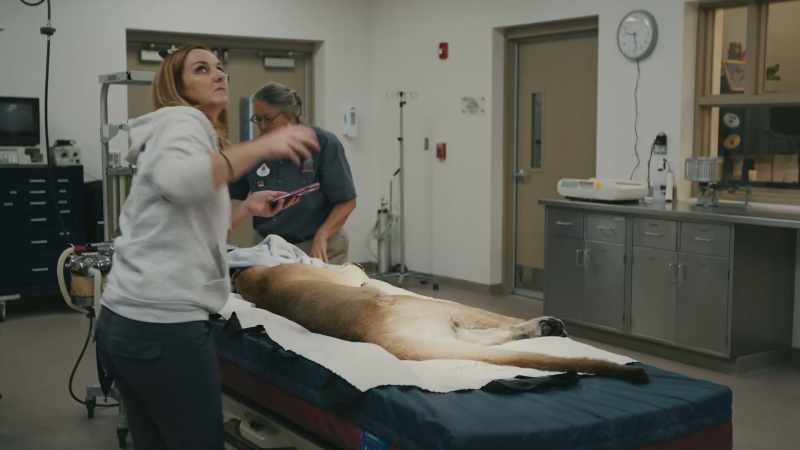 LARA: It was obvious that this guy had multiple broken legs