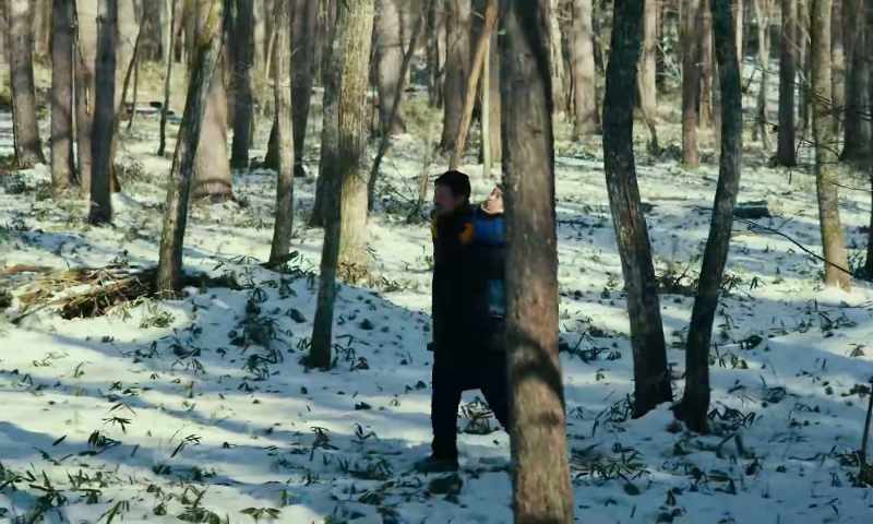 Larches have black bark. Pine bark is red