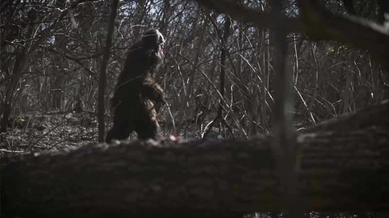 Large, hairy human-like cryptid creatures live alongside us