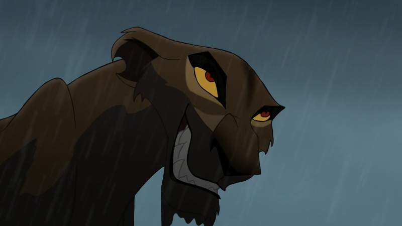 Last chance Zira Go home