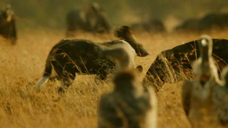 Last time she encountered Jasari, she was badly beaten