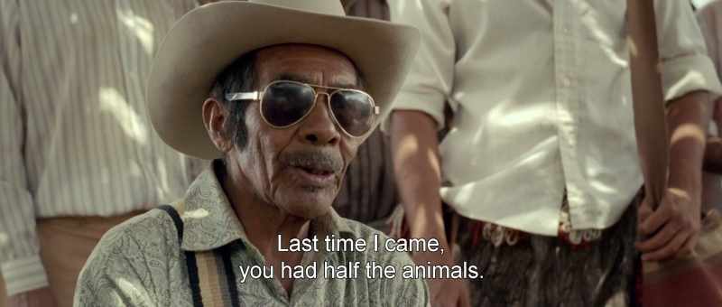 Last time I came, you had half the animals