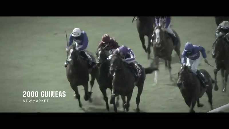 Last year, to win our first Guineas