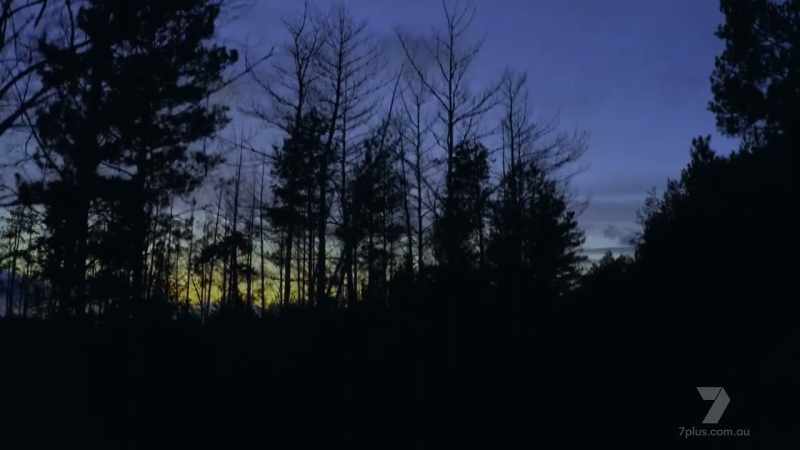Late in the evening