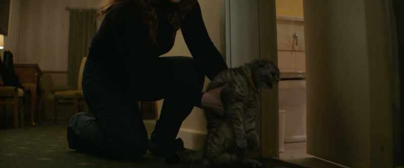 Leave him alone. Come here. Come here, sweetheart