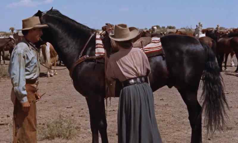 Leave it on, boy. I'll ride him
