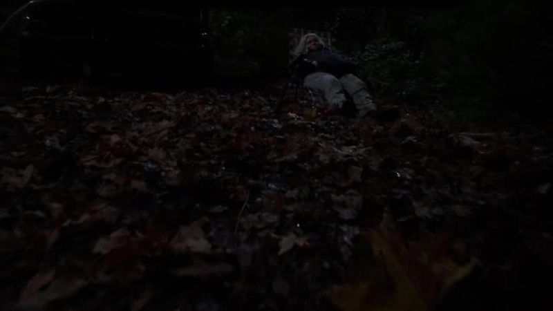[leave rustling]