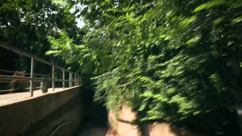 (leaves crunching) -(indistinct chatter)