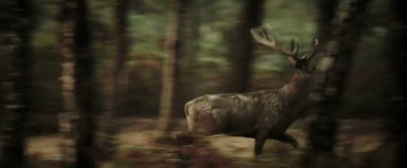 (leaves rustling) (ominous music)