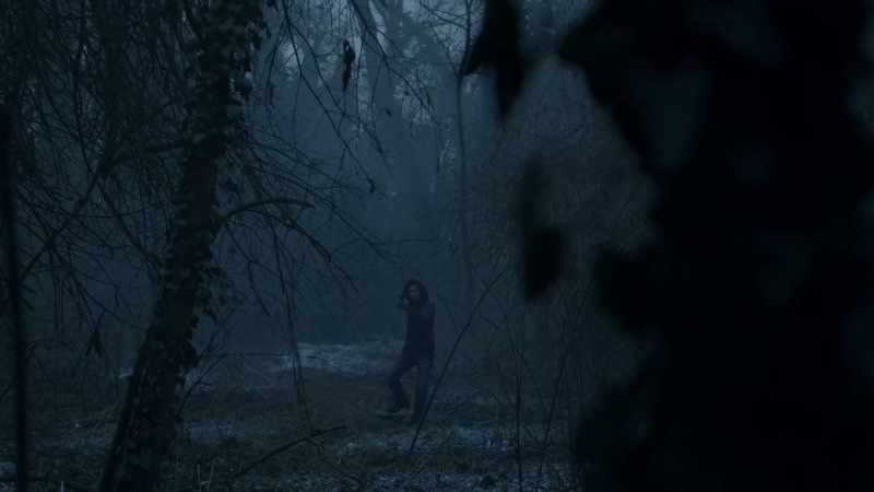 (LEAVES RUSTLING)