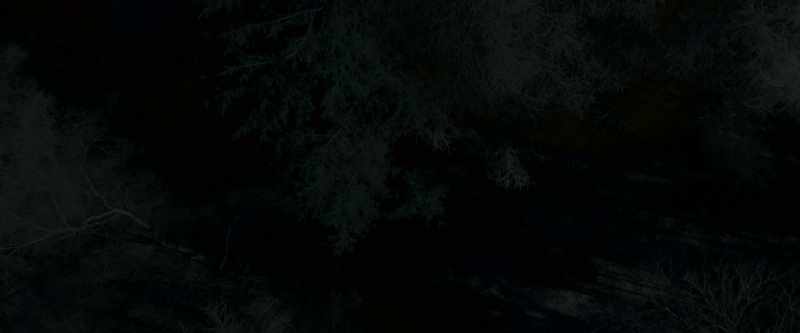 [Leaves rustling]