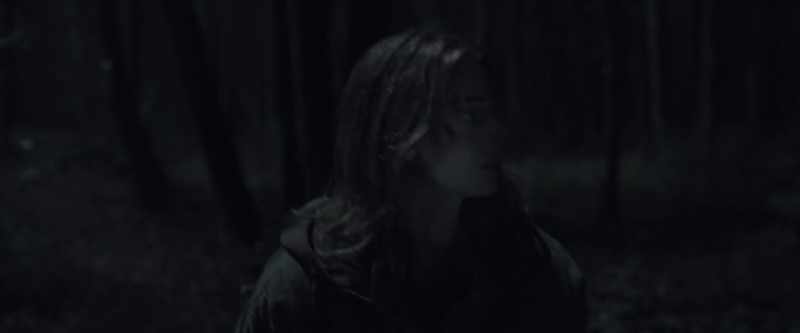 [leaves rustling]