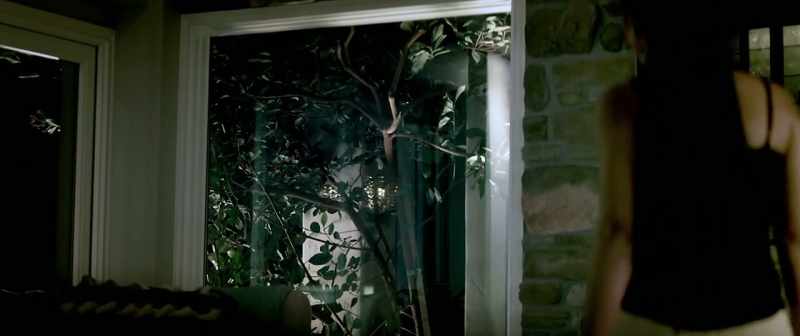 [leaves rustling]
