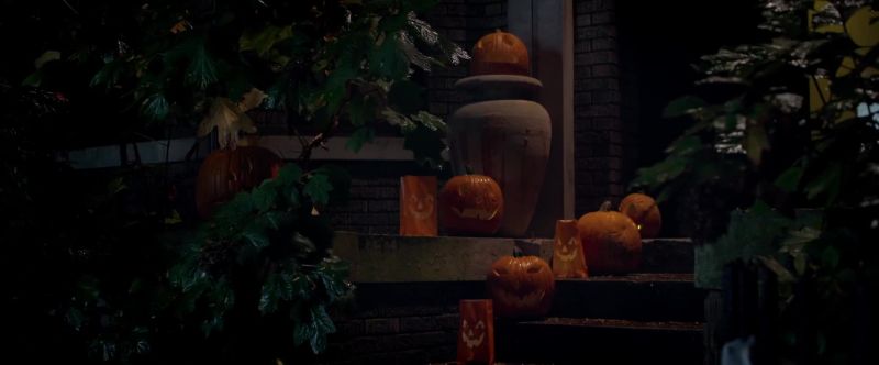 [ Leaves rustling ]