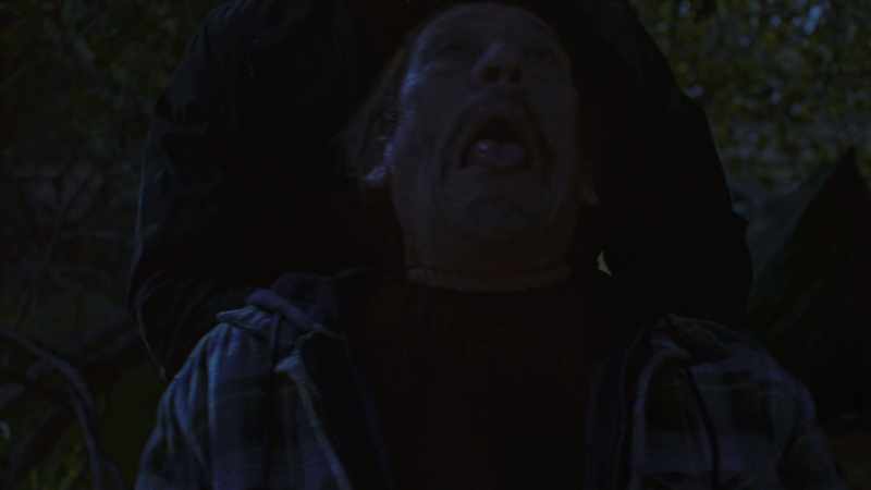 (leaves rustling)