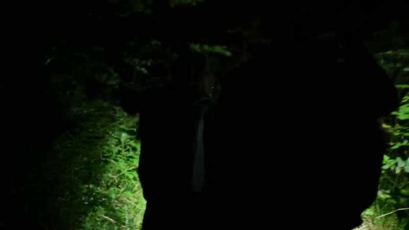 [leaves rustling]