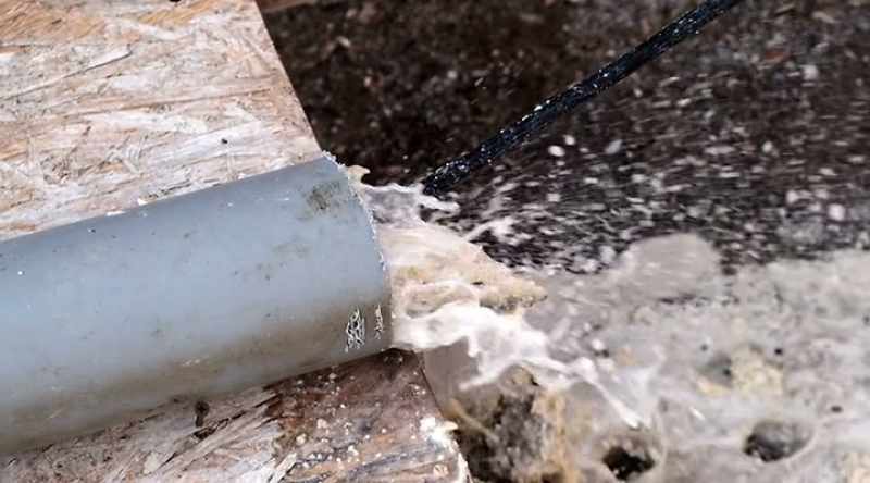 Left untreated, it could overwhelm sewage lines