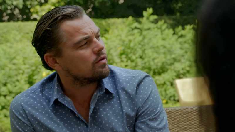 LEONARDO DICAPRIO: FROM WHAT I UNDERSTOOD THERE ARE