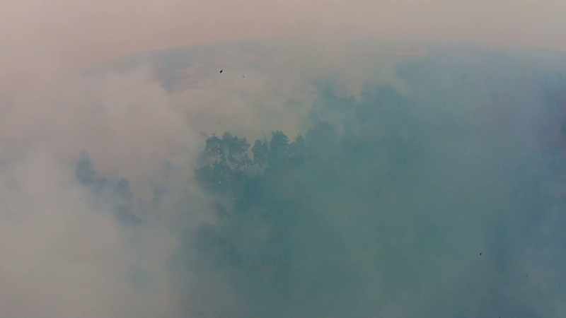 LEONARDO DICAPRIO: WOW, THIS HAZE IS INTENSE ISN'T IT?