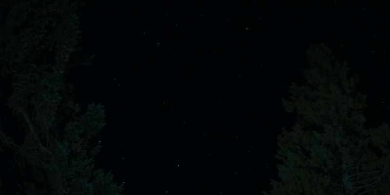 Les étoiles sont magnifiques d'ici
