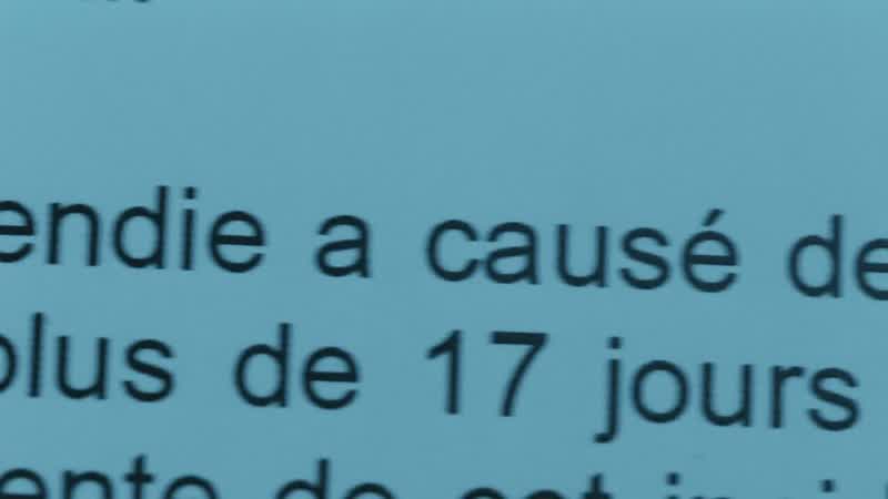 Les pignons sont prêts