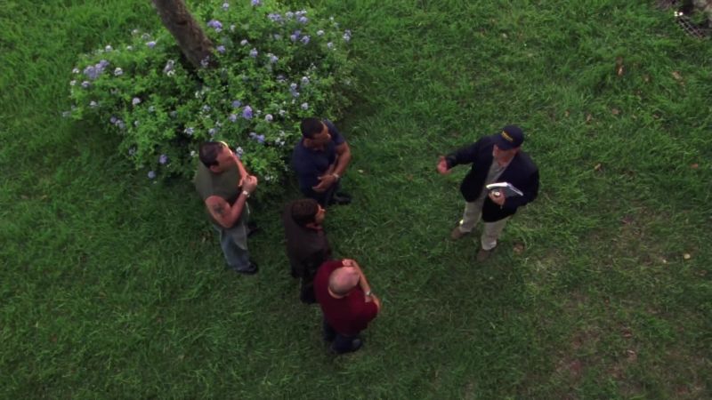 Let me ask you a quick question. When's the last time you mowed your lawn?