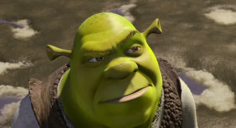 Ok let me get this straightWe gonna go find the dragon and rescue a princess just so Farquaad will give you back the swampwhich you only don't have 'cause he filled it with full of freaks on the first