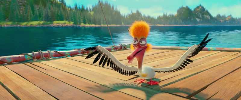 Let me introduce myself. I am Duke the Pelican