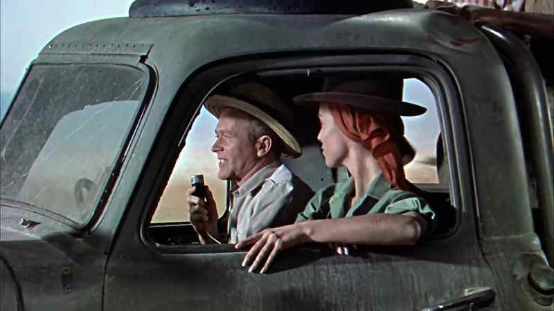 Let me know when you've picked one out