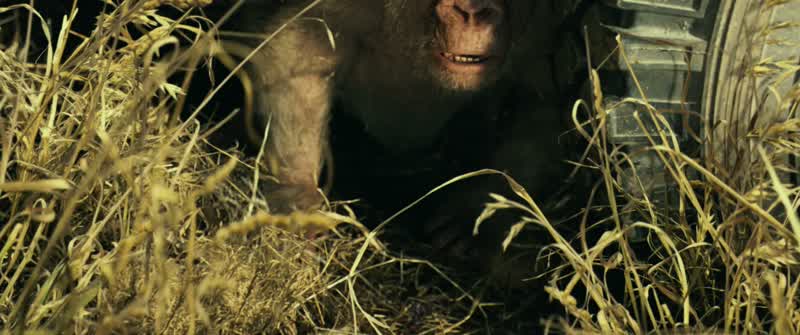 Let me tell you something