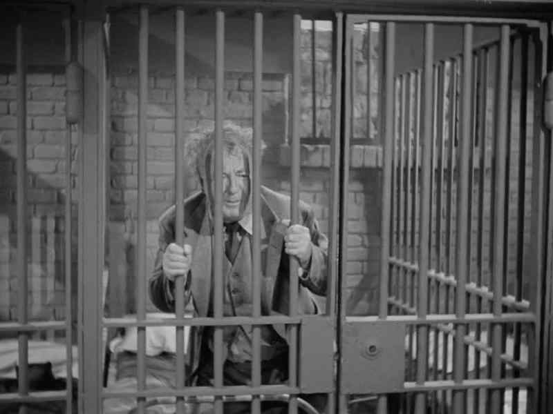 Let me out! Let me out!