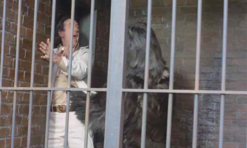 Let me out!