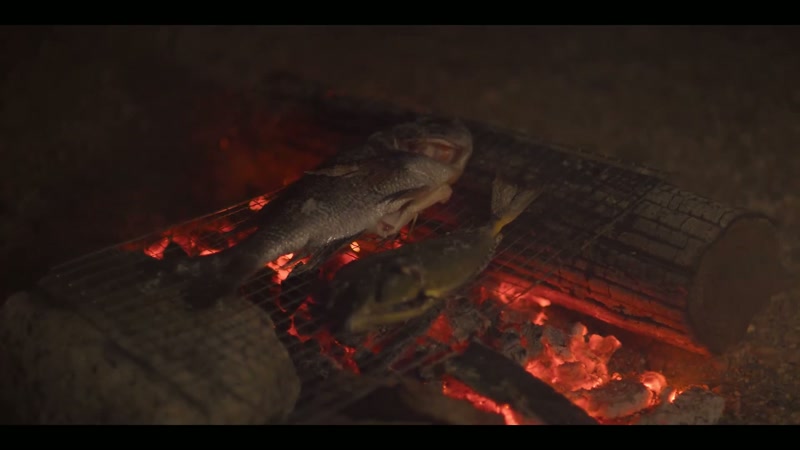 Let me play the song that's best for campfires