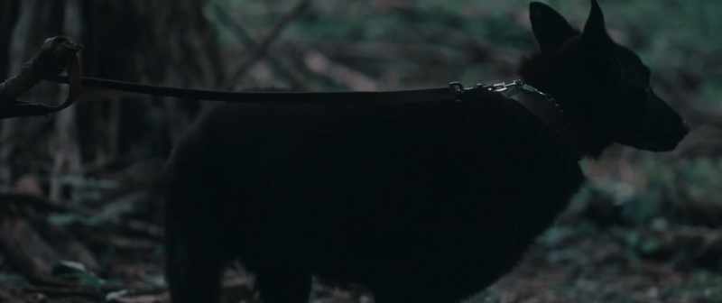 Let their blood