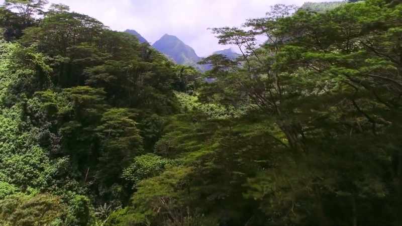 Let's crawl over to Madagascar