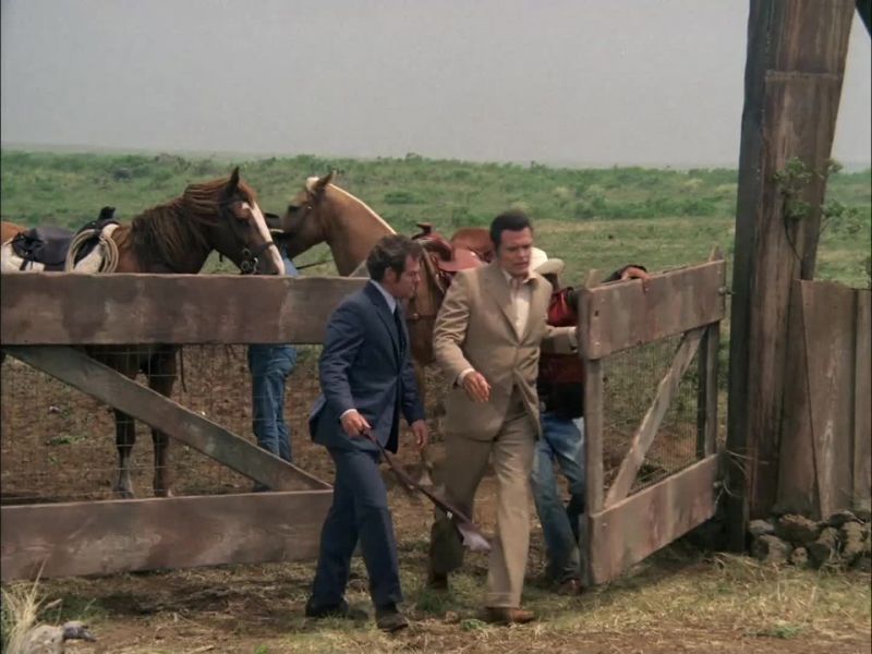 LET'S GET BACK TO TOWN. -NO LUCK?