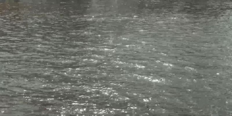 Let's get the divers down there