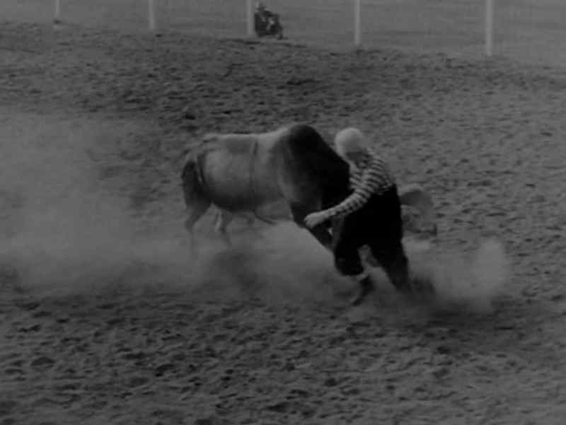 'Let's give our two rodeo clowns'