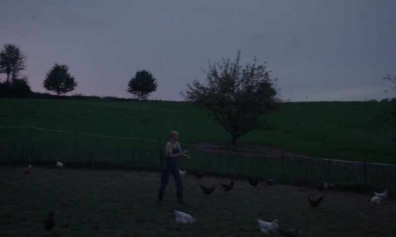 Let's go! - [CHICKENS CLUCK]