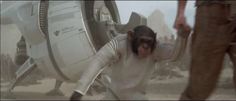 Let's go explain evolution to the monkeys