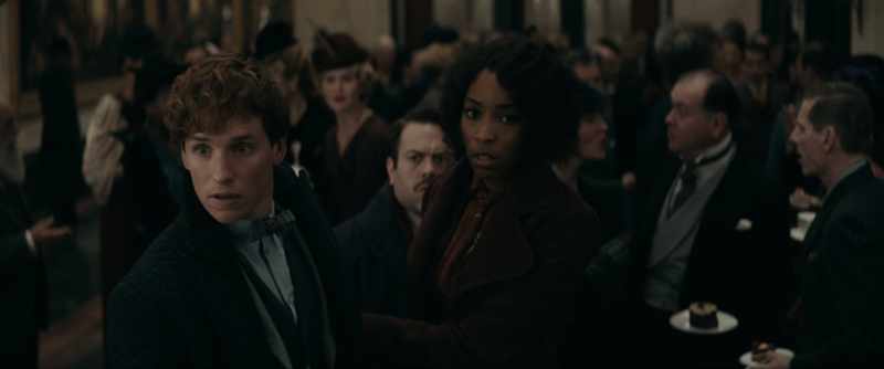 Let's go. Newt