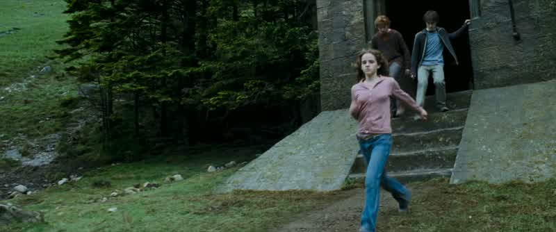 DRACO Ah come to see the showYouYou foul loathsome evillittle cockroachRON Hermione noHe's not worth itwhimperingchuckles gruntsMalfoy you okayLet's goQuick Run Wait for meThat felt goodNot good
