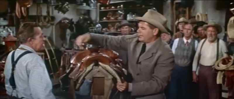 Let's suppose... that a man achête this saddle