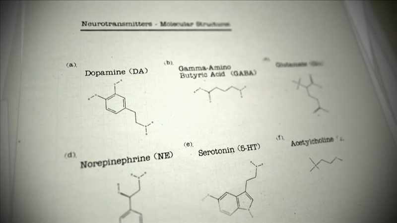 LIEBERMAN: In identifying these
