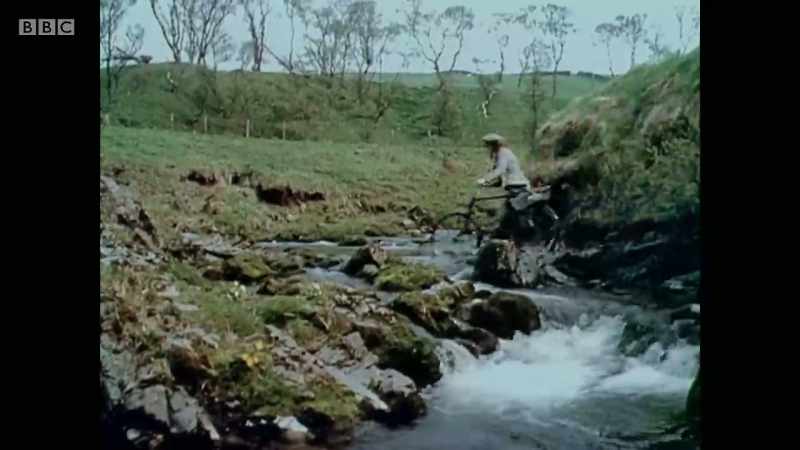 Life as a five-string windswept minstrel