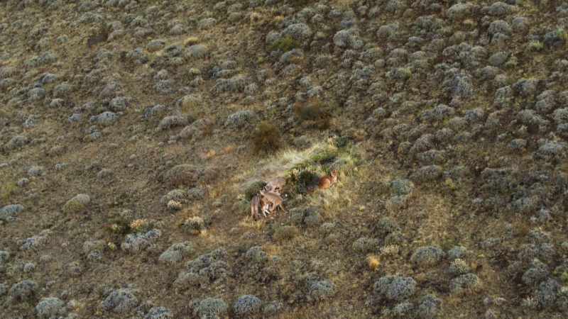 Life for a hunter in this land is as hard as it gets